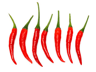 Image showing Seven Red hot chili pepper