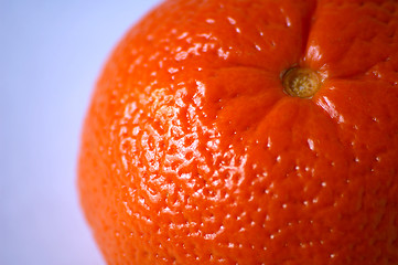 Image showing Mandarin