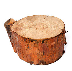 Image showing Stump of pine tree