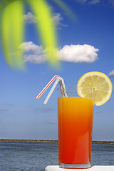 Image showing Tropical Drink