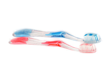 Image showing Pair of Toothbrushes