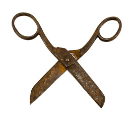 Image showing rusty old vintage scissors isolated on white 