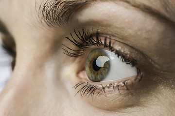Image showing closeup eye and iris of young woman