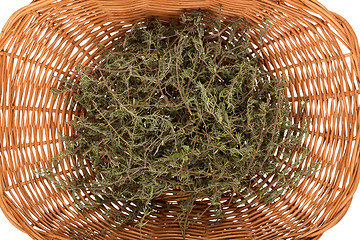Image showing Rosemary in basket