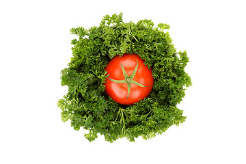 Image showing Parsley and tomato