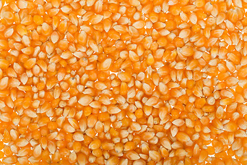 Image showing Corn seed background