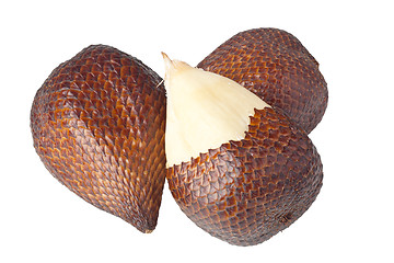 Image showing Snake fruit