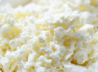 Image showing cottage cheese