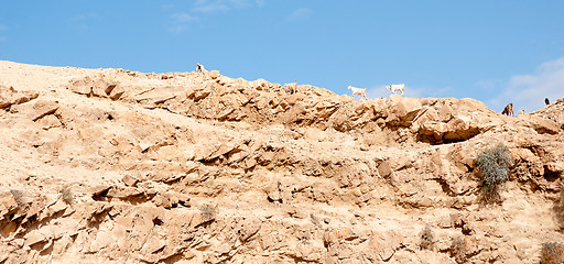 Image showing Hiking in judean desert