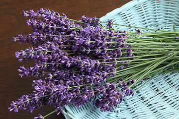 Image showing Bunch of lavender