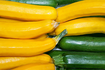 Image showing Zucchini vegetable