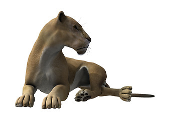 Image showing Lying Lioness