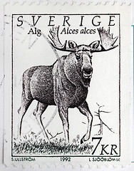 Image showing Moose Stamp