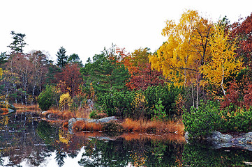 Image showing Autumn