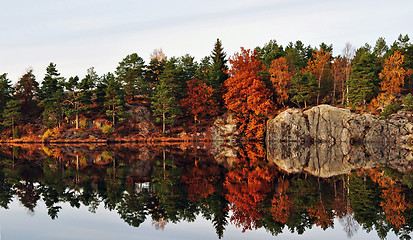 Image showing Autumn