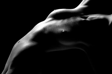 Image showing Nude Bodyscape Images of a Woman