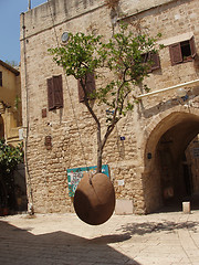 Image showing The tree in the air, Old Jaffa, Israel