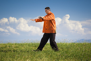 Image showing Qi-Gong outdoor