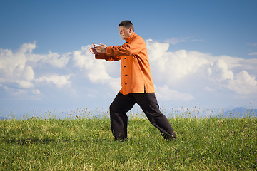 Image showing Qi-Gong outdoor