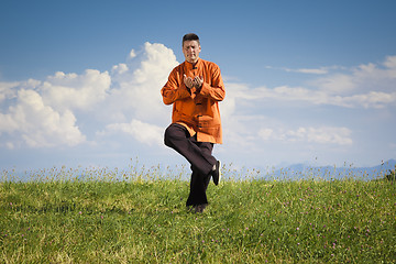 Image showing Qi-Gong outdoor