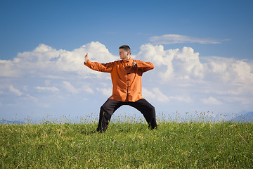 Image showing Qi-Gong outdoor