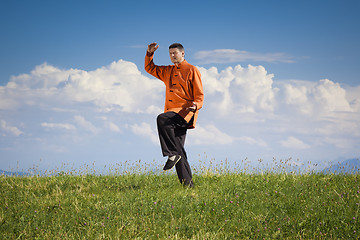 Image showing Qi-Gong outdoor