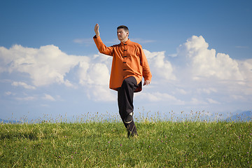 Image showing Qi-Gong outdoor