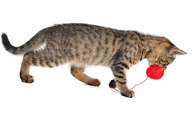 Image showing cute little kitten with a wool ball