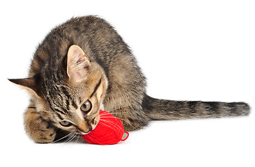 Image showing cute little kitten with a wool ball