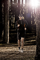 Image showing Runing in the forest