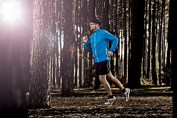 Image showing Runing in the forest