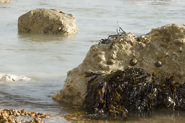 Image showing sea rocks