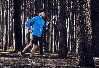 Image showing Runing in the forest