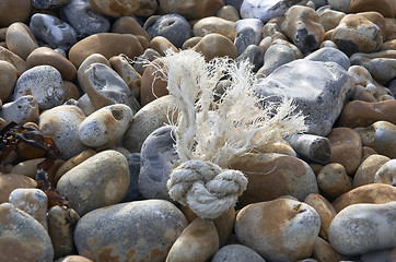 Image showing Rope on the beach