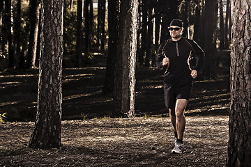 Image showing Runing in the forest