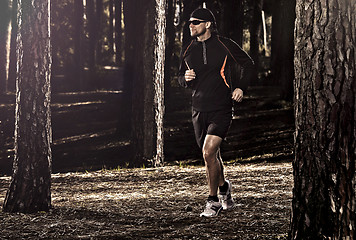 Image showing Runing in the forest