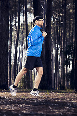 Image showing Runing in the forest