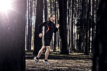 Image showing Runing in the forest