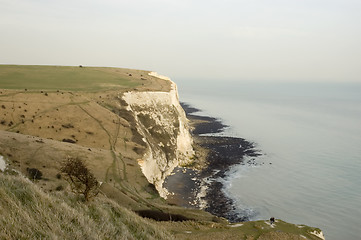 Image showing White cliffs