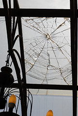 Image showing Broken glass on ceiling of porch