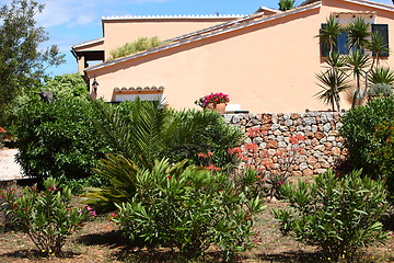 Image showing Tropical plants in a garden