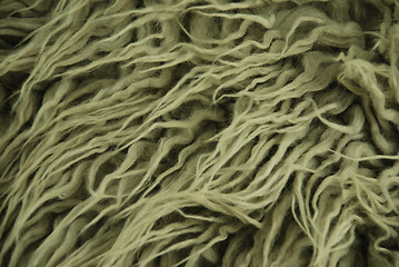 Image showing wool