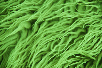 Image showing wool