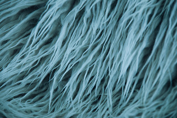 Image showing wool