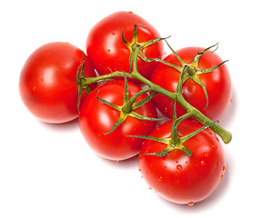 Image showing Bunch of fresh tomatoes with water drops. Top view.
