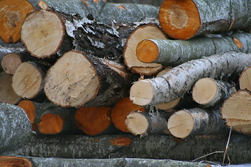 Image showing Norwegian wooden