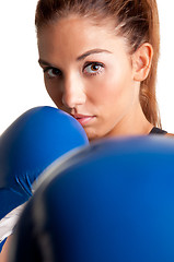 Image showing Female Boxer Ready to Fight