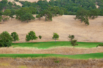 Image showing nature view