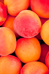 Image showing fresh orange red apricots peaches macro closeup on market