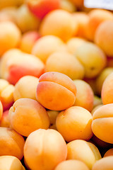 Image showing fresh orange red apricots peaches macro closeup on market
